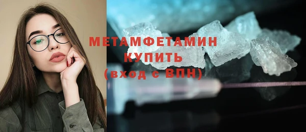 гидра Володарск