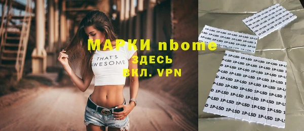 гидра Володарск