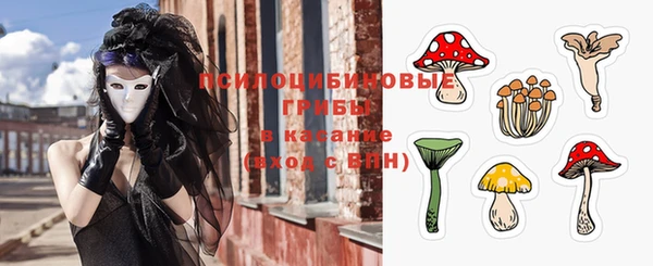 a pvp Сосновоборск
