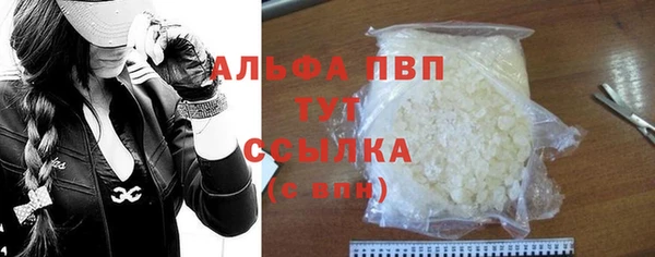 СК Волоколамск