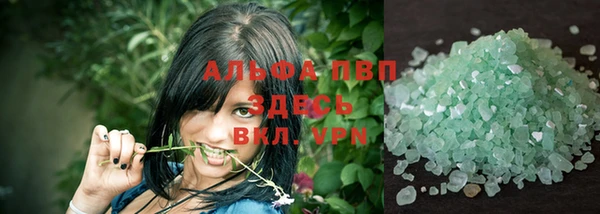 гидра Володарск