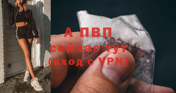 СК Волоколамск